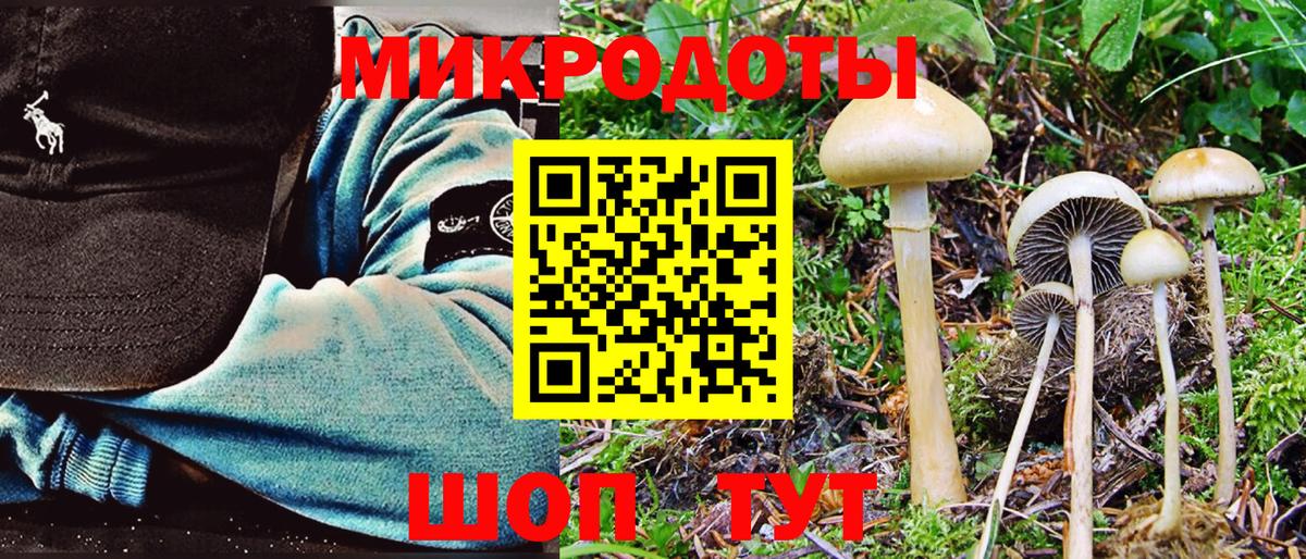 Псилоцибиновые грибы Psilocybine cubensis Волоколамск